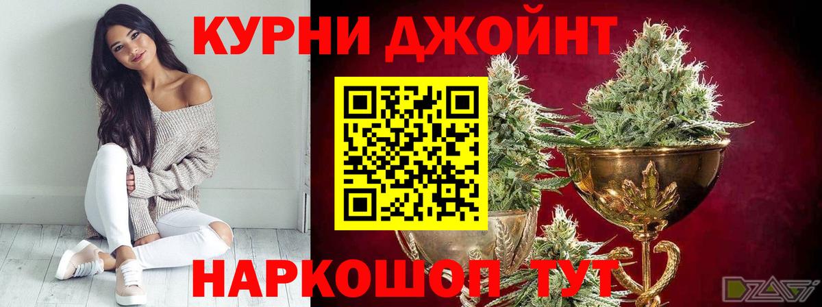 Каннабис сатива  Конопля MAZAR  Бахчисарай 